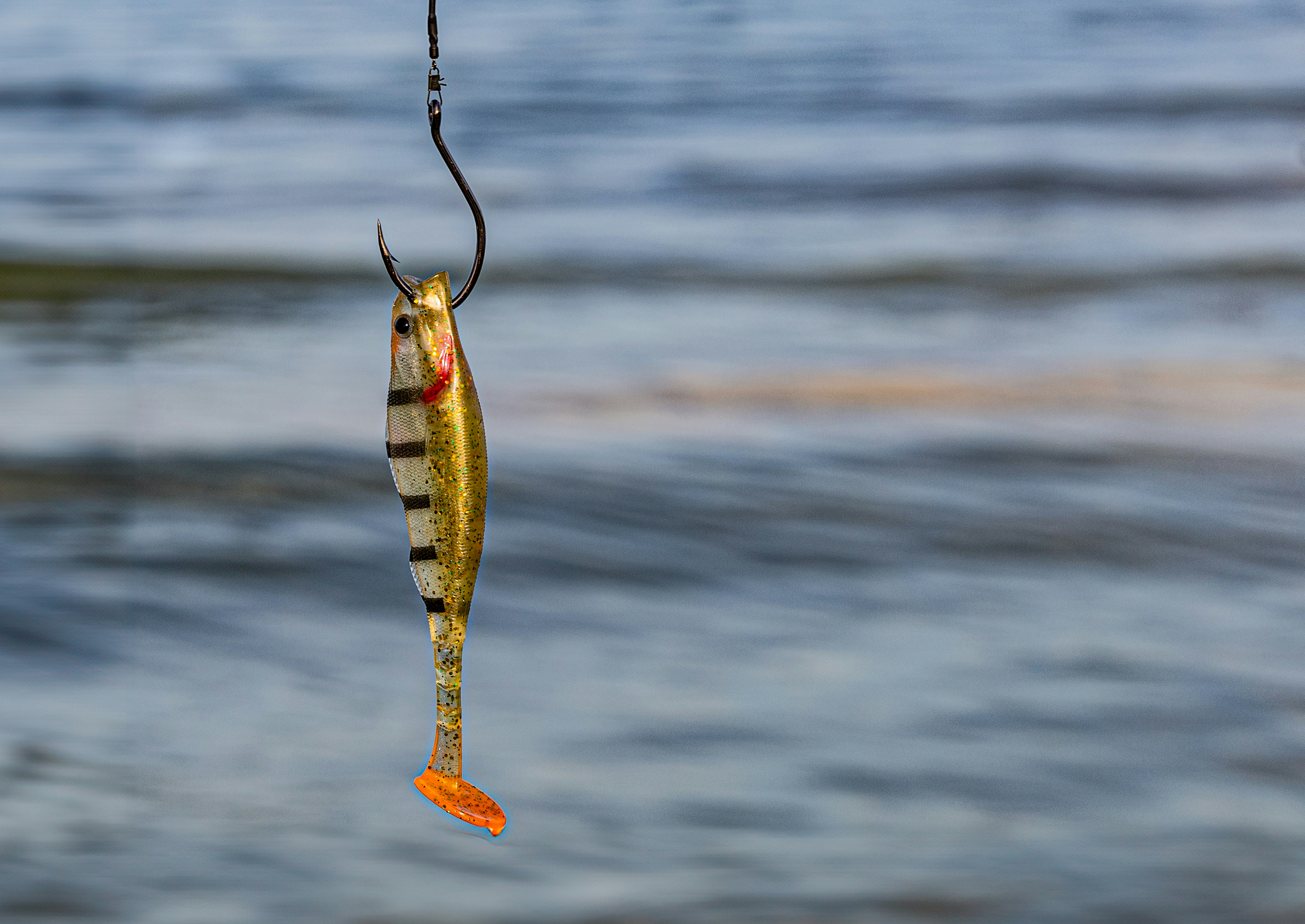 Read This Before You Click, Tap, or Respond: Outsmarting Phishing Scams